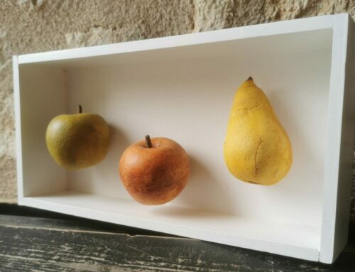 3 fruits en suspension